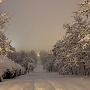 Meet your Posher, Manon